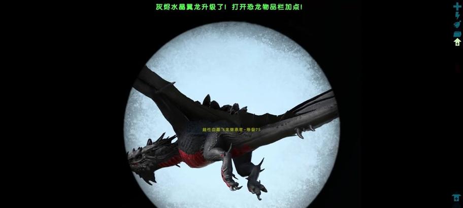 地下城白焰翼龙升级方法是什么？需要哪些材料？