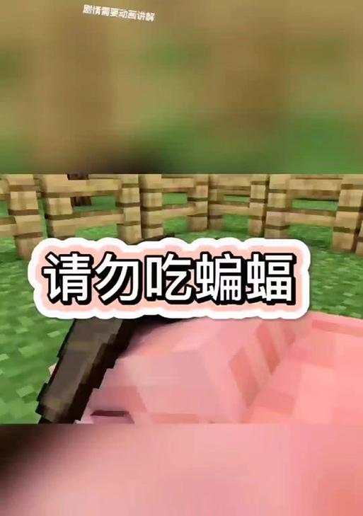 《我的世界》中蝙蝠如何清理？
