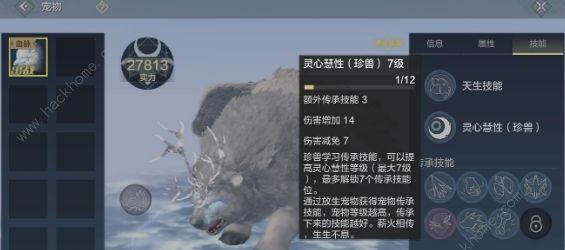 《妄想山海夫诸进化合成方法大全》（游戏中如何获取妄想山海夫诸进化合成材料）