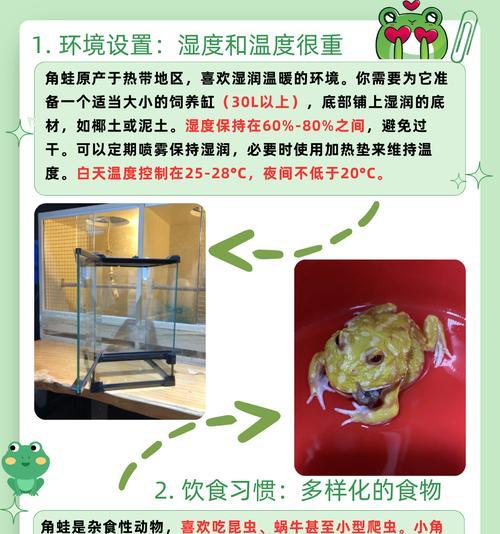 在《我的世界》中如何驯服牛蛙？驯服牛蛙的步骤是什么？