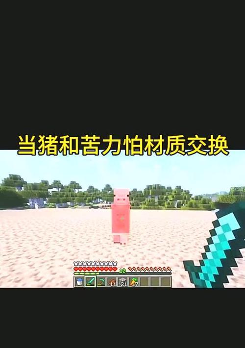 在《我的世界》中驯服毛猪的技巧有哪些？