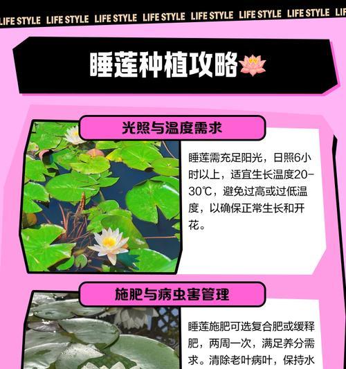 睡莲怎么移植我的世界？移植步骤和注意事项是什么？
