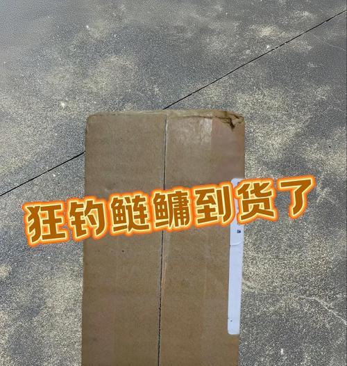 寻仙中快速钓鲢鱼的方法有哪些？