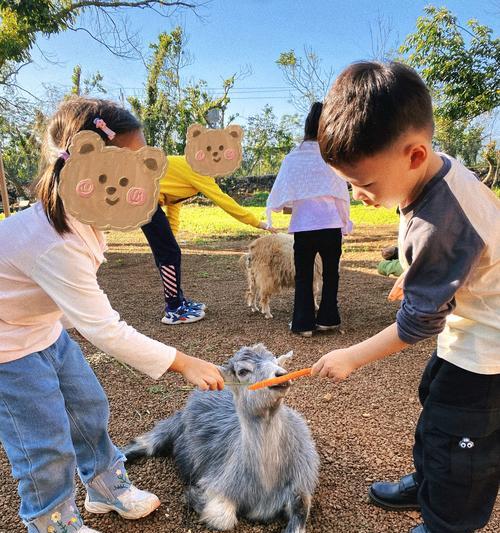 嬉皮小羊玩法攻略（一起来探索嬉皮小羊的奇妙世界吧）